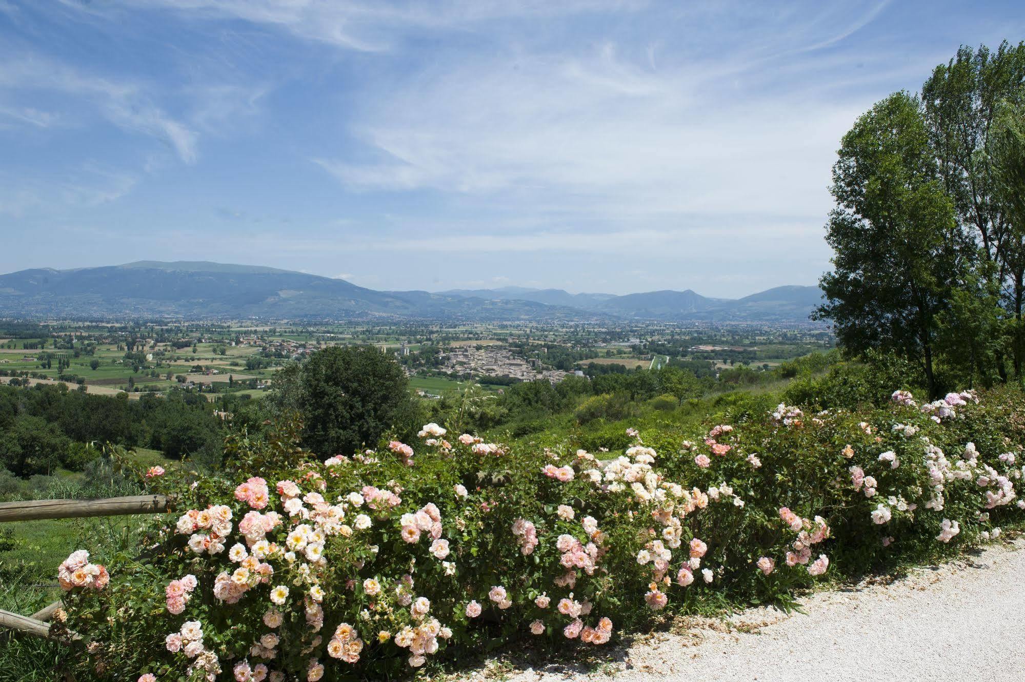 فندق Il Poggio Dei Pettirossi بيفانيا المظهر الخارجي الصورة